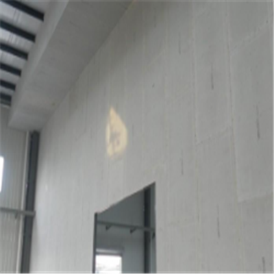 大武口宁波ALC板|EPS加气板隔墙与混凝土整浇联接的实验研讨